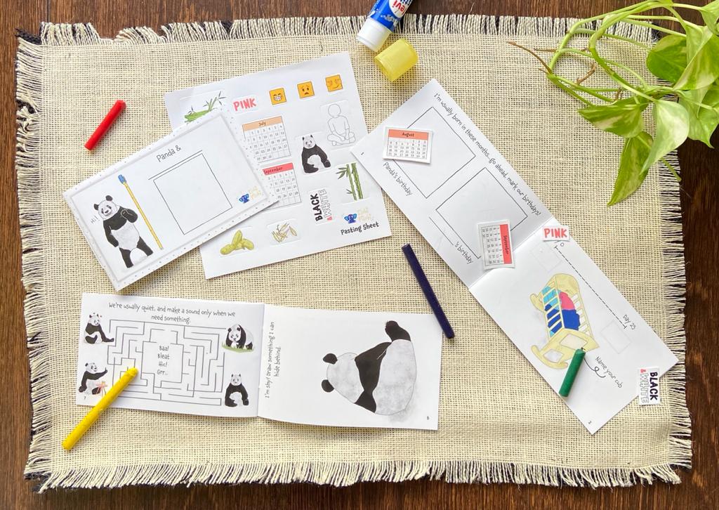 Panda Activity Kit ★ ★ ★ ★ ★ (11)