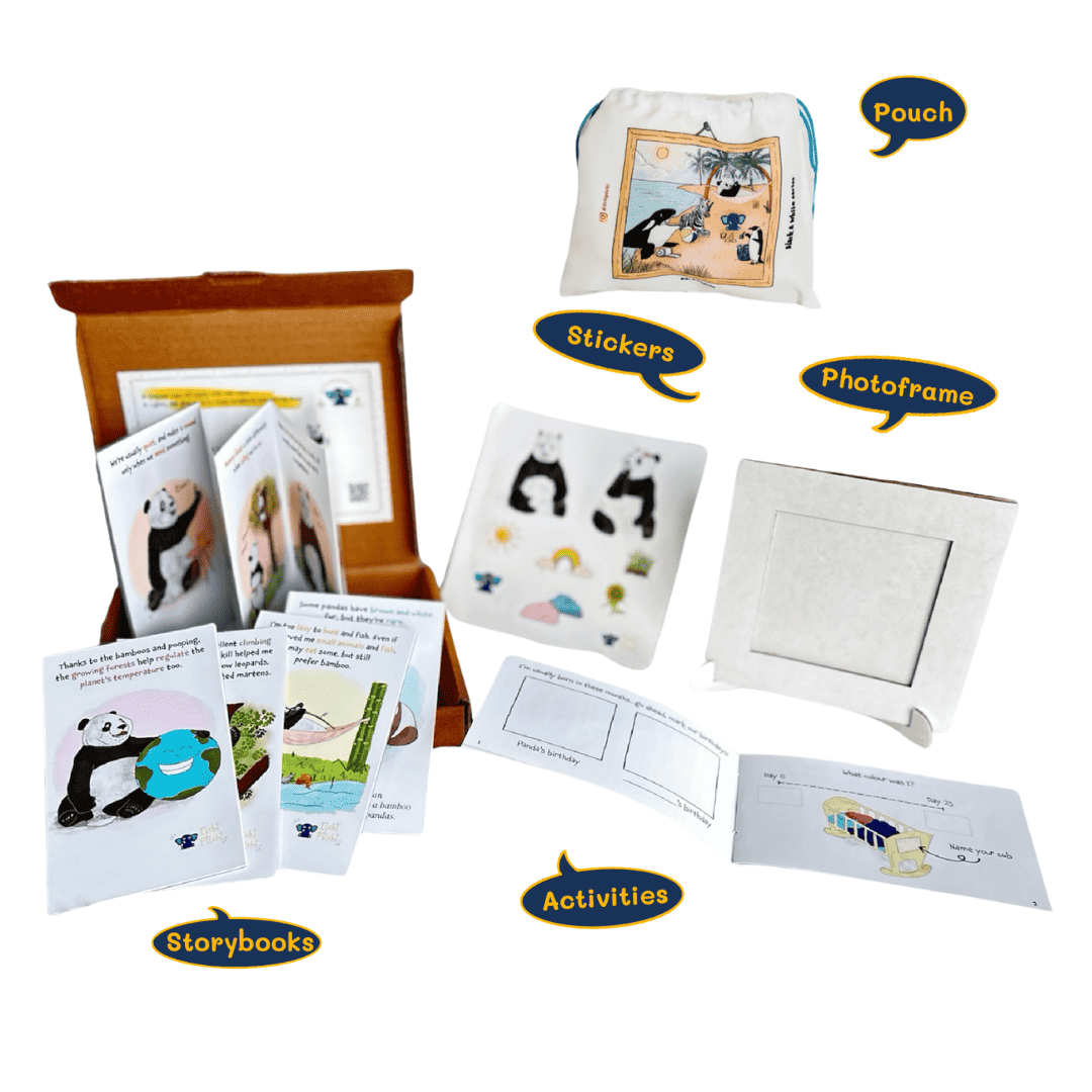 Panda Activity Kit | 5-Book Storybook & Scrapbook DIY Set
