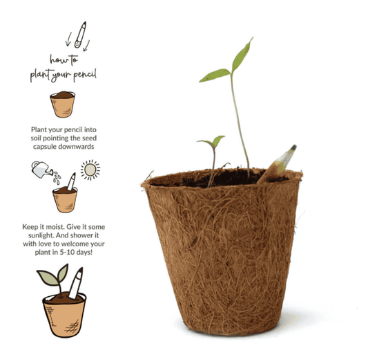 Plantable Stationary
