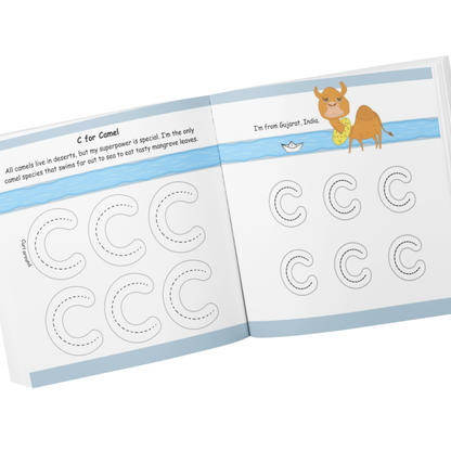 Pencil Control Activity Book