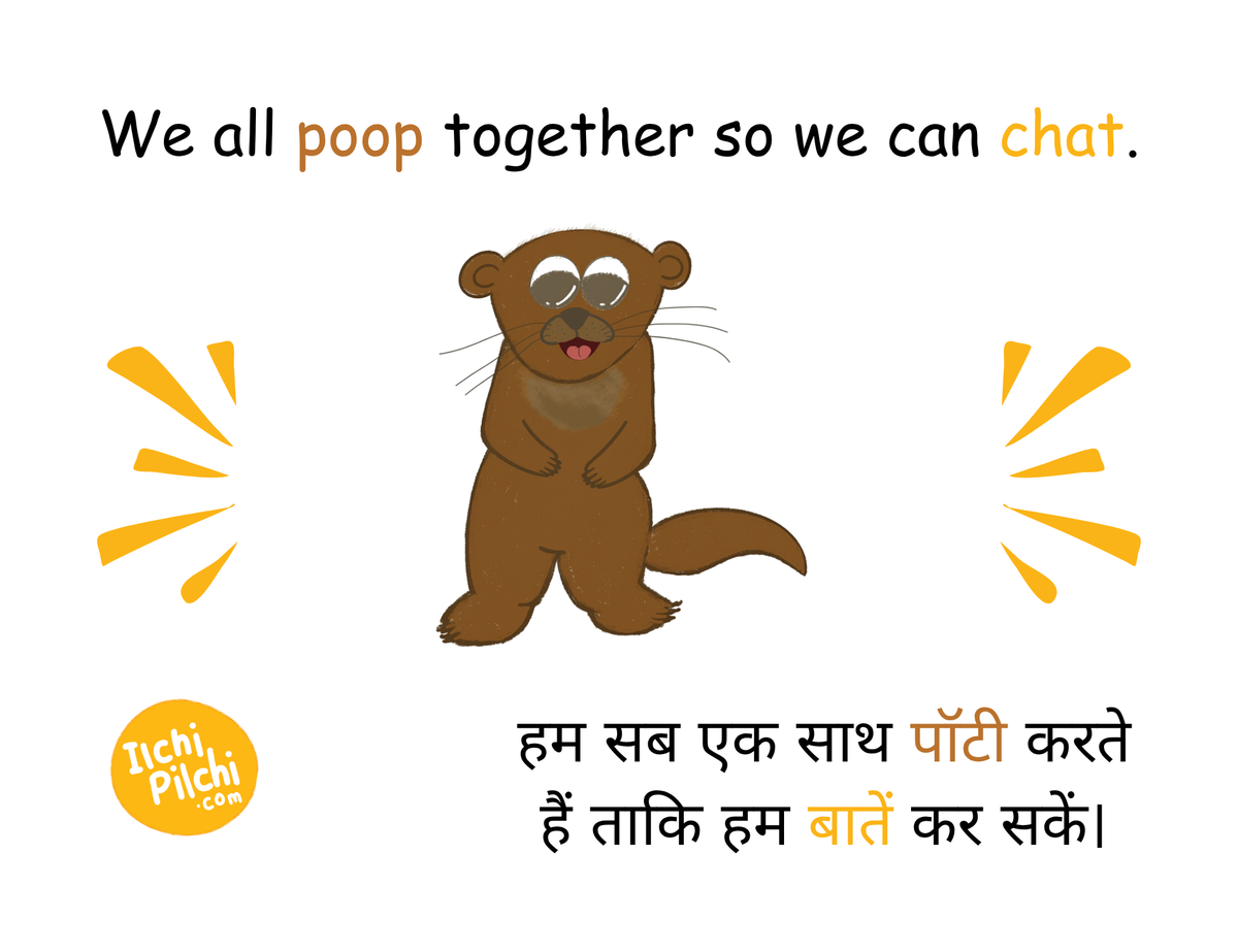 My First Bilingual Pack — Hindi & English A-Z Flashcards